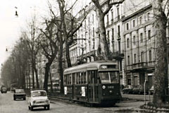 1954