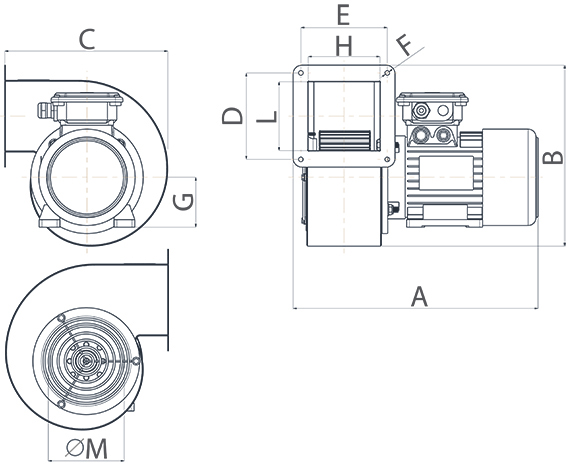 Accessorio_6